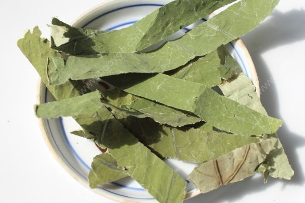 女生夏天喝什么茶最好？女生夏天適合喝什么茶？(4)