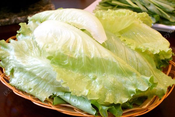 孕婦可以吃生菜嗎？孕婦能吃生菜嗎？(2)