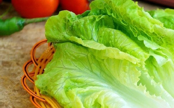 經(jīng)期能吃生菜嗎？月經(jīng)可以吃生菜嗎？(1)