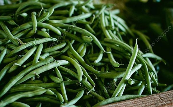 坐月子能吃四季豆嗎？產(chǎn)婦能不能吃四季豆？(2)