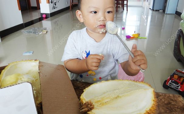 寶寶能吃榴蓮嗎？多大寶寶能吃榴蓮？(3)