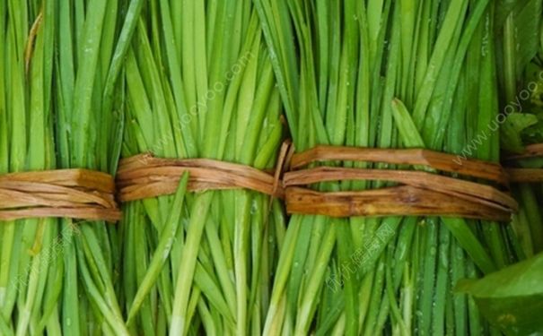 產(chǎn)婦能吃韭菜嗎？吃韭菜會回奶嗎？(1)