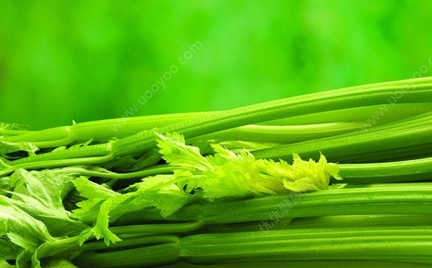 芹菜怎么吃降壓好？芹菜香干怎么做？(1)