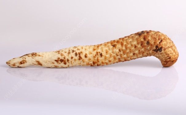 怎么用肉蓯蓉制作膠囊？肉蓯蓉膠囊有什么作用？(1)