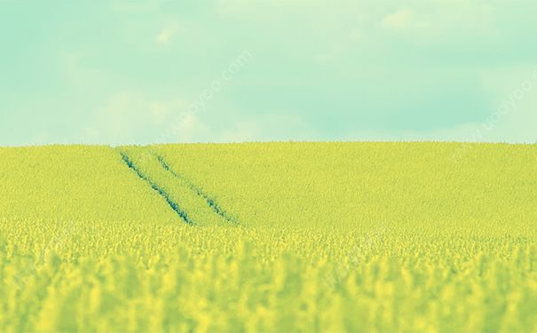 結膜炎和角膜炎有什么區(qū)別？結膜炎和角膜炎的區(qū)別(1)
