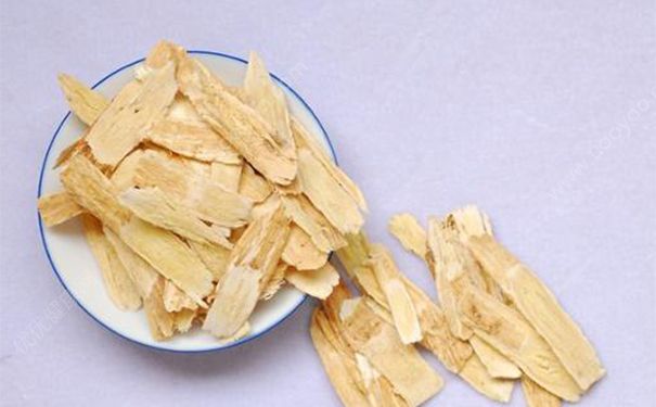 黃芪和什么搭配最好？黃芪和什么一起燉湯？(1)