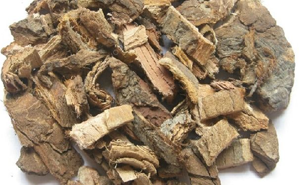 榆白皮是什么？榆白皮有什么功效和作用？(1)
