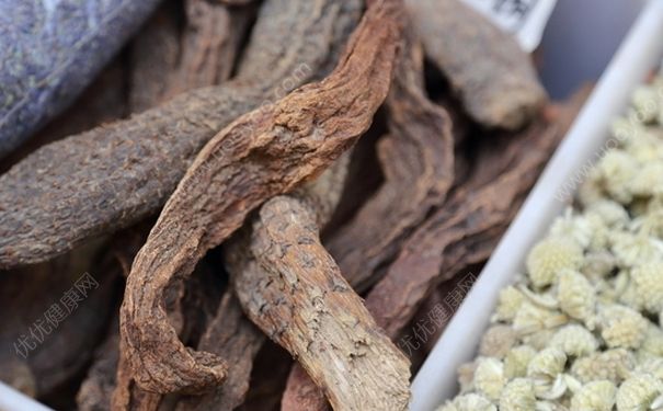 肉蓯蓉能和鎖陽一起吃嗎？肉蓯蓉的功效有哪些？(1)