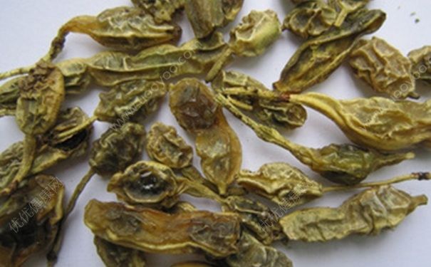 槐實是什么？槐實有什么功效和作用？(1)