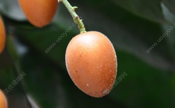黃皮果哺乳期能吃嗎？哺乳期可以吃黃皮嗎？(1)