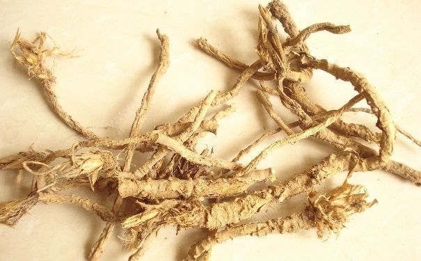 防風有什么作用？防風的功效與作用(1)