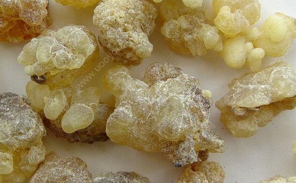 乳香有什么功效？乳香的功效與作用及禁忌(1)