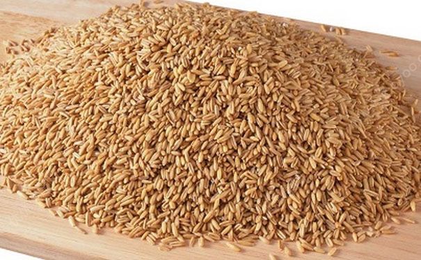 浮小麥有什么功效？浮小麥的功效與作用及食用方法(1)