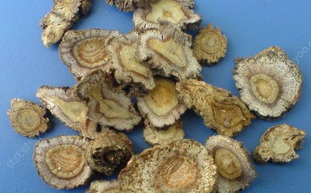 獨(dú)活有什么功效？獨(dú)活的功效與作用是什么？(1)