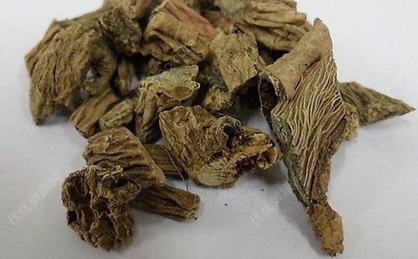川斷有什么功效？川斷的功效與作用(1)