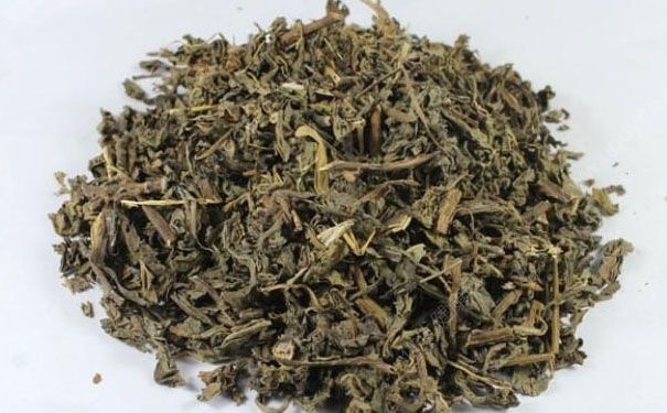 敗醬草有什么功效？敗醬草的功效與作用及禁忌(1)