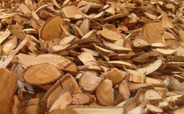 雞血藤手鐲有什么功效？雞血藤的功效與作用(1)
