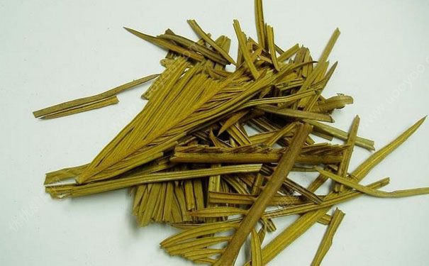 鐵樹葉有什么功效？鐵樹葉的功效與作用(1)