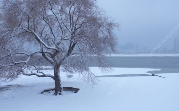今年冬天會(huì)很冷嗎？冬天很冷怎么度過(guò)？(3)