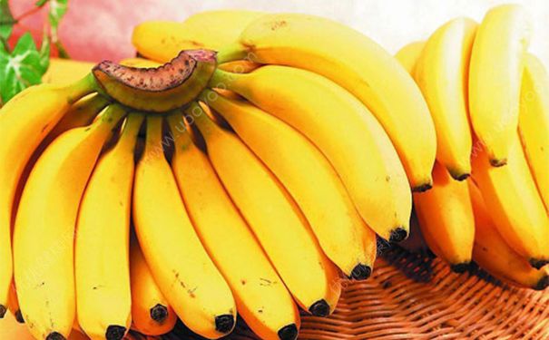潤(rùn)腸通便吃什么好？潤(rùn)腸通便的食物(1)