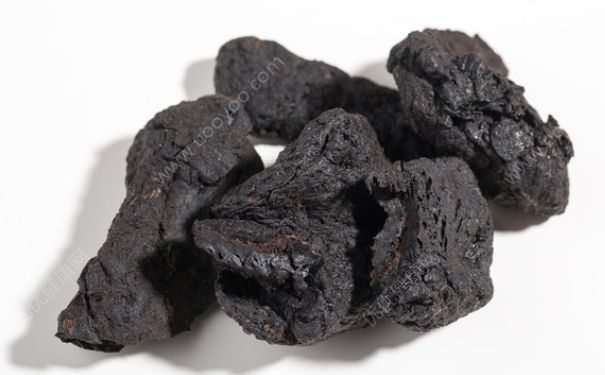 熟地黃有什么功效？熟地黃有什么作用？(1)