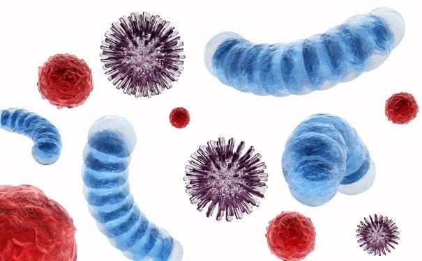 H5N6禽流感癥狀有哪些？H5N6禽流感最新消息(1)