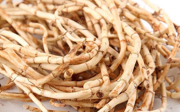 魚腥草的食用方法？魚腥草的用途(1)