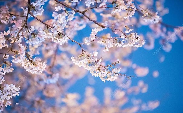 過敏性鼻炎如何預(yù)防？過敏性鼻炎預(yù)防及護(hù)理(1)