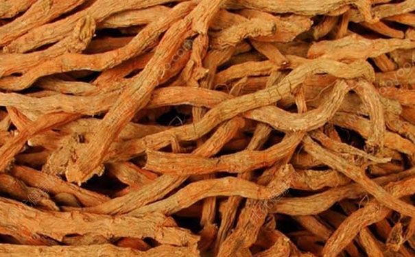 丹參怎么吃效果最好？丹參的吃法大全(1)