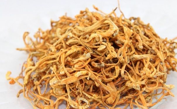 蟲草花是涼性還是熱性？蟲草花的功效是什么？(1)