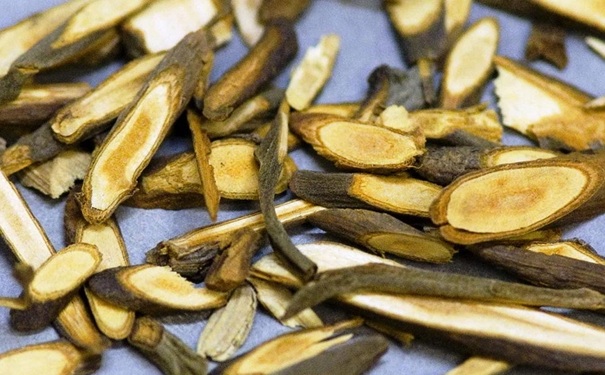 桂枝的功效與作用有哪些？桂枝的禁忌有哪些？(1)