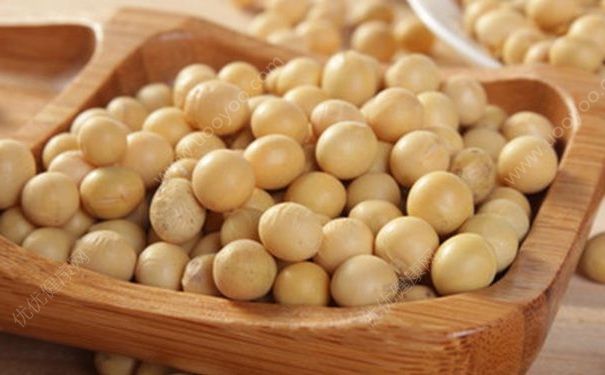 黃豆有哪些營(yíng)養(yǎng)價(jià)值？食用黃豆可以讓頭腦變聰明嗎？(1)