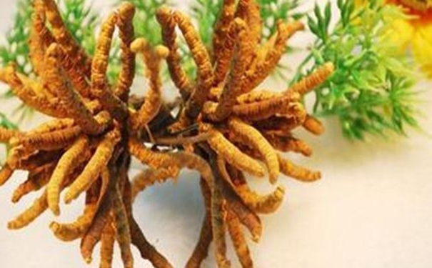 哪些食物會(huì)造成孩子早熟？小孩吃什么食物會(huì)早熟？(1)