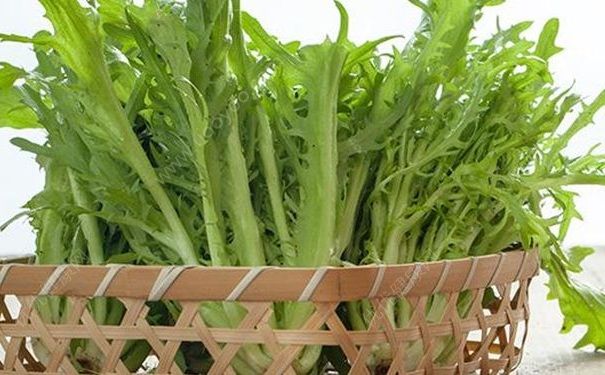 夏季上火應(yīng)該怎么辦？夏季上火可以經(jīng)常喝涼茶嗎？(1)