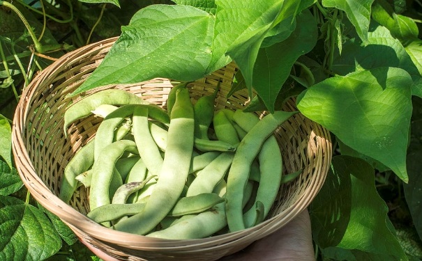哪些食物可能會引起食物中毒？容易引起食物中毒需警惕的食物(1)
