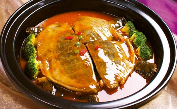 甲魚的營養(yǎng)價(jià)值多高？吃甲魚有哪些好處？(1)