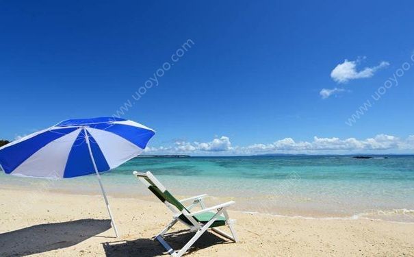 哪些酸味的食物適合夏天吃？夏天可以吃什么酸味的食物？(1)