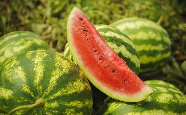 哪些食物可以預(yù)防中暑？吃什么能預(yù)防中暑？(2)