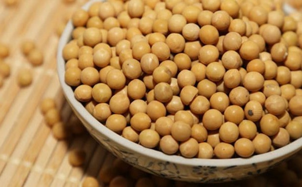 女人要多吃什么豆類？女人要多吃哪些豆類？(1)