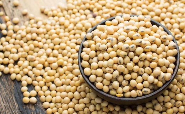 男人護(hù)肝吃什么好？哪些食物吃了有護(hù)肝的作用？(1)
