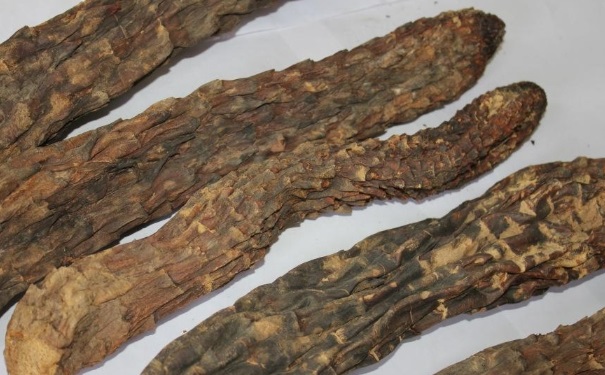 肉蓯蓉有什么副作用？那些人吃肉蓯蓉好？(1)