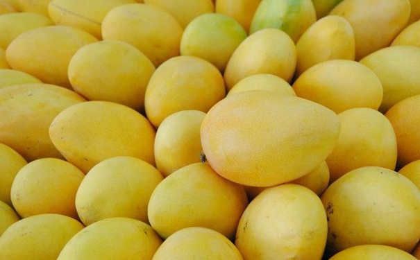 經(jīng)常吃芒果有什么功效？芒果能治療什么疾??？(1)