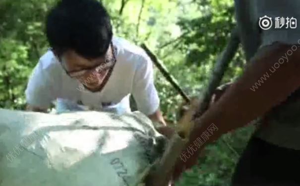 為攢錢上大學(xué)5天沒吃一頓米飯，經(jīng)常不吃飯有什么危害？(3)