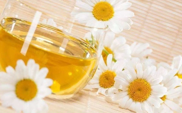 不同品種的菊花有什么功效？不同品種菊花的功效有什么不同？(1)