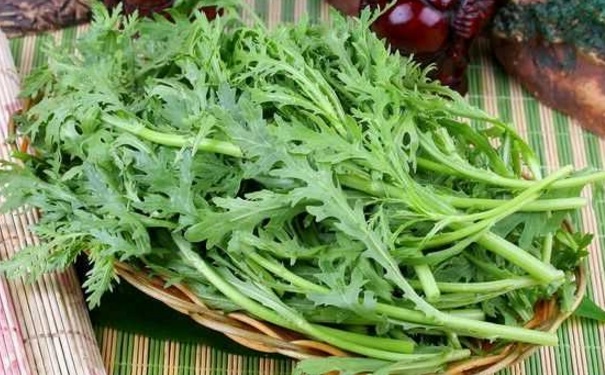 茼蒿的營(yíng)養(yǎng)功效是什么？茼蒿的美味吃法有哪些？(1)