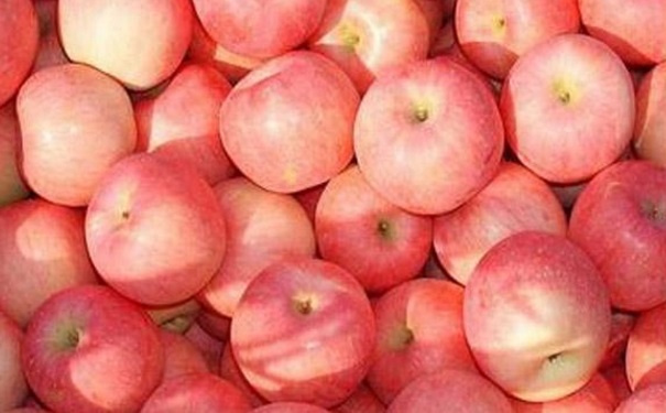 吃水果蘋果的好處有哪些？如何吃蘋果更養(yǎng)生？(1)