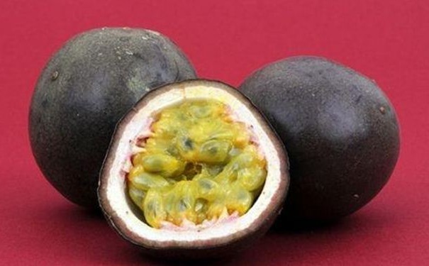 為什么果籽的營養(yǎng)高于果肉的營養(yǎng)？哪些果籽吃了有營養(yǎng)？(1)