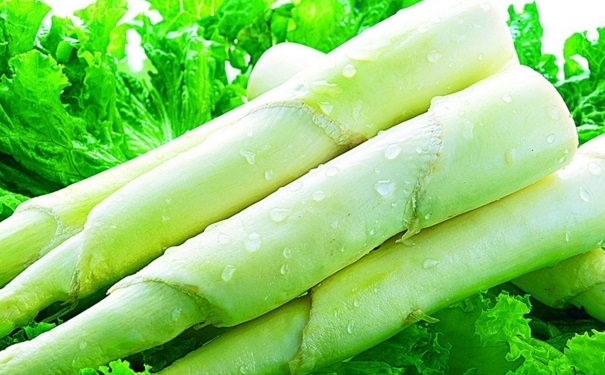 秋季的時令蔬菜有哪些？秋天應季的蔬菜有哪些？(1)