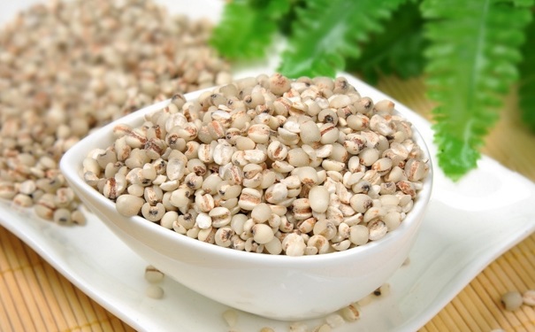 薏米的功效作用是什么？薏米適合哪些人食用？(1)