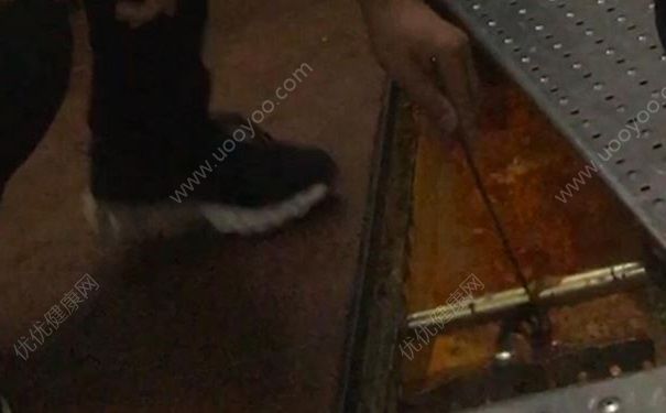 海底撈廚房：老鼠爬進(jìn)食品柜，火鍋漏勺掏下水道(2)